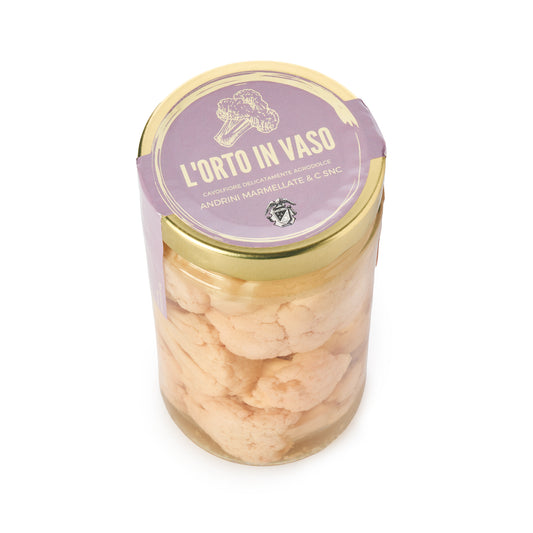 L'orto in Vaso Cavolfiore 550g