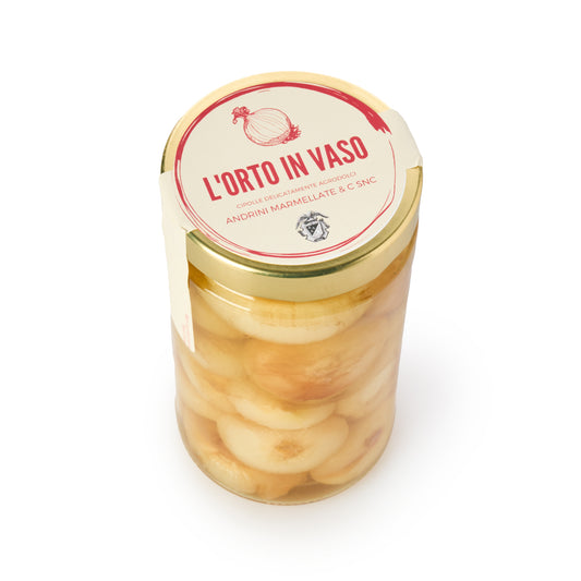 L'orto in Vaso Cipolline 550g